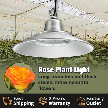 50 Вт светодиодный светильник для выращивания роз красного и синего цвета для продвижения цветов в зеленом доме