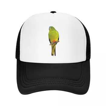 Бейсболка с оранжевым пузом Parrot |-F-|на день рождения Новая шляпа солнцезащитная мужская кепка роскошного бренда Женская